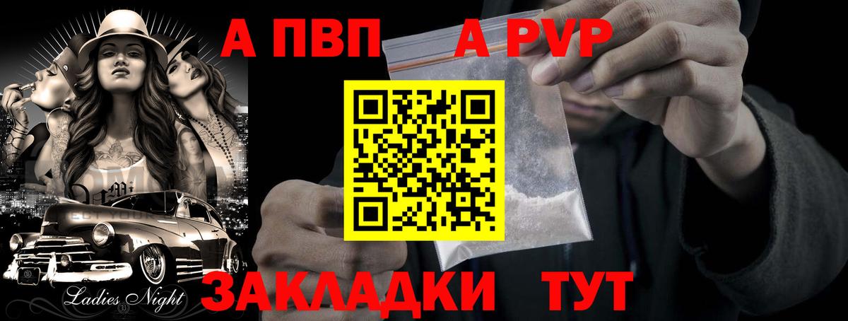 A-PVP СК КРИС Новодвинск